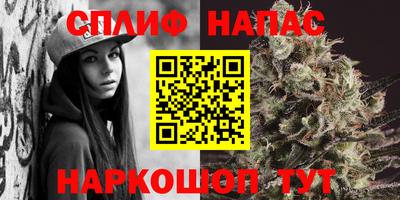 бошки Гусев